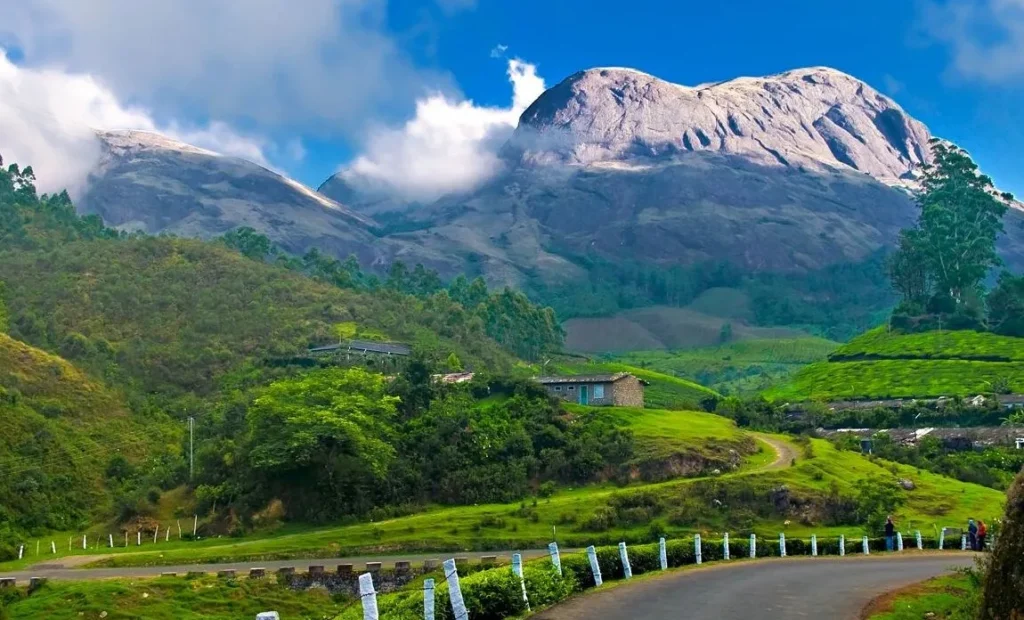 Munnar: A Cool Escape in Kerala’s Hills Munnar’s rolling tea gardens and misty hills under a clear sky — best places to visit in summer in India for cool weather and green escapes.