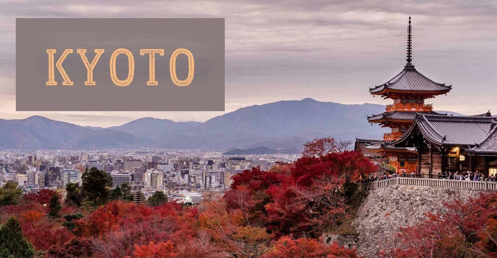 Kyoto Travel Guide – Timeless Beauty in the Heart of Japan