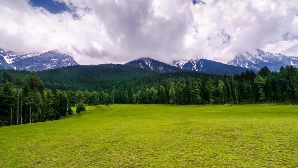 Scenic view of Baisaran Valley (places to visit in Kashmir) featuring rolling green meadows, dense pine forests, and majestic snow-covered mountains.