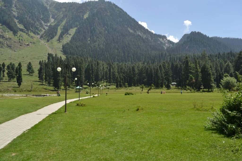 Breathtaking landscape of Betaab Valley (places to visit in Kashmir), with lush green meadows, tall pine trees, and snow-covered mountains in the background.