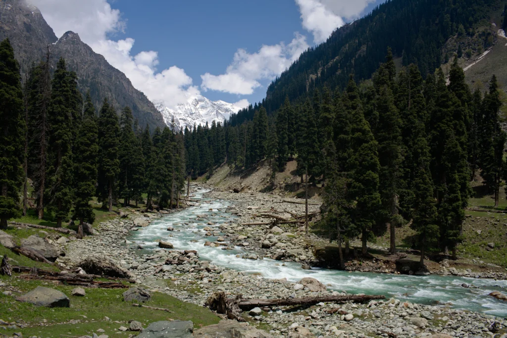 Scenic view of Lidder River (places to visit in Kashmir) with turquoise waters flowing through the green valley of Pahalgam, surrounded by Himalayan mountains.