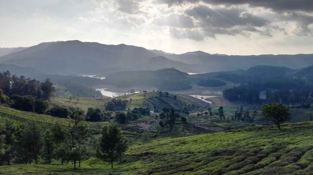 Ooty (Cold Places to Visit in April in India), a serene hill station with tea gardens, rolling hills, and misty eucalyptus forests in Tamil Nadu.