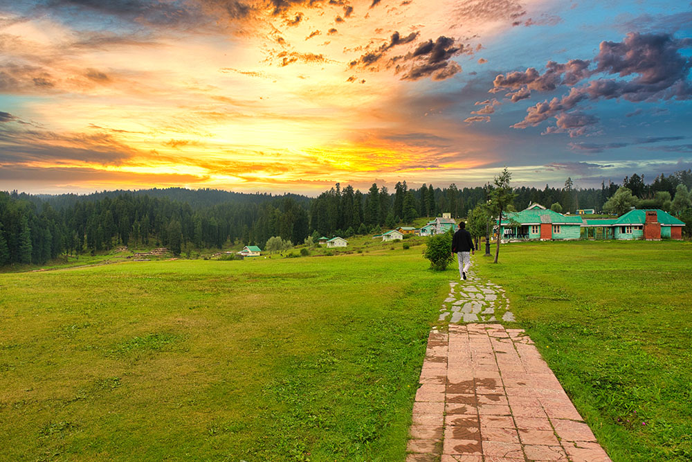 Yusmarg (places to visit in Kashmir), a tranquil alpine meadow surrounded by pine forests, with snow-capped peaks in the distance.