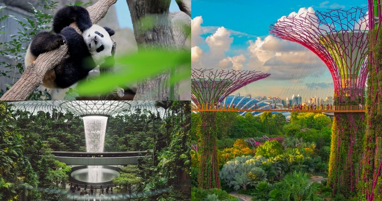 20 Best Things to Do in Singapore: Your Complete Travel Guide