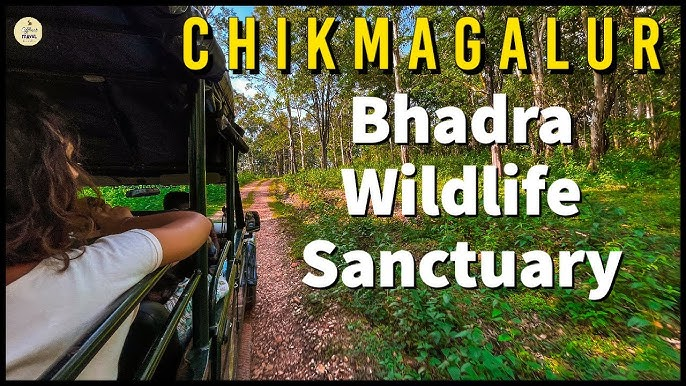 Bhadra Wildlife Sanctuary in Chikmagalur: Fascinated by wildlife