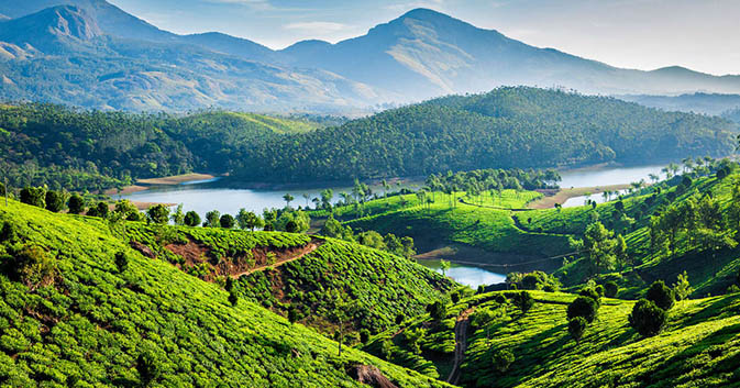 Lush green landscape with dense tropical foliage and open skies — best time to visit in Kerala for nature lovers and scenic beauty.