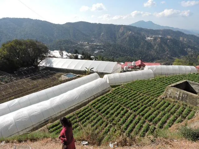 Chail – Secluded Hill Station Chail – Secluded Hill Station