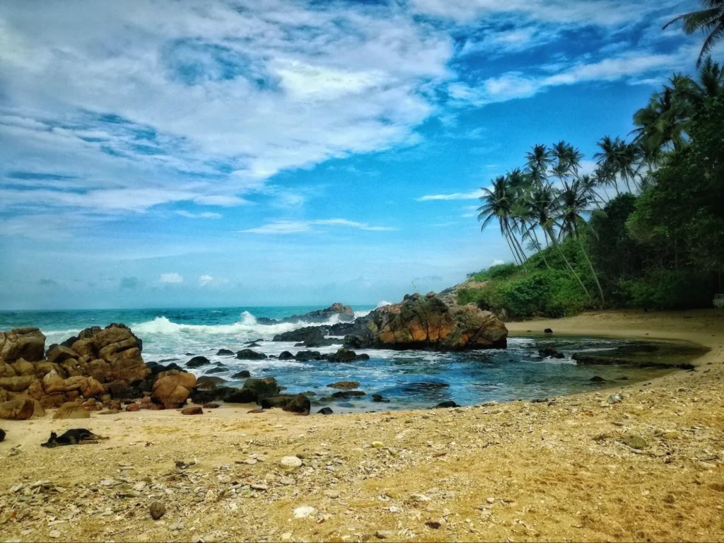 Secret Beach: The Tranquil Escape Secret Beach: The Tranquil Escape - image