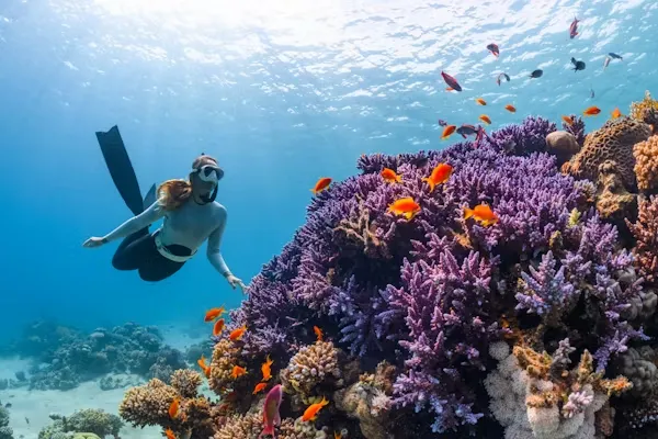 Scuba Diving in the Andaman and Nicobar Islands Scuba Diving in the Andaman and Nicobar Islands - image