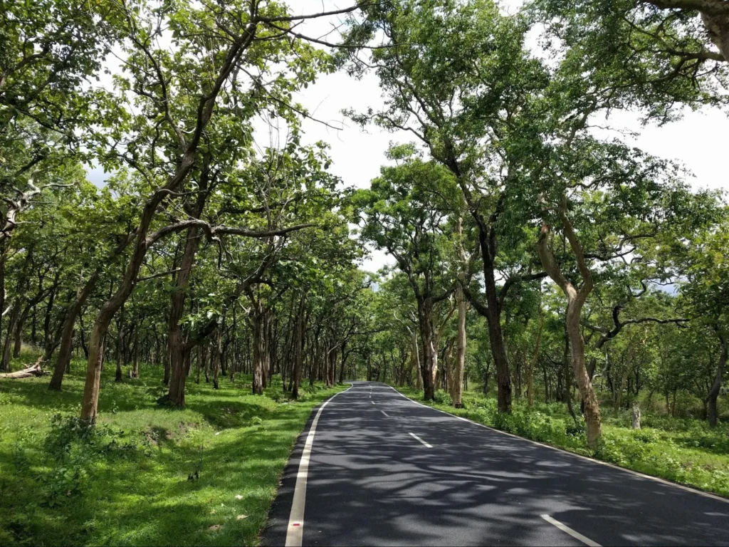 Bandipur – The Hidden Gem of the Hills Bandipur – The Hidden Gem of the Hills - image