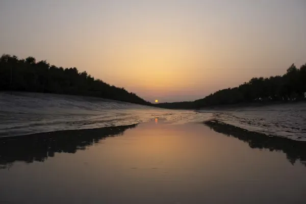 West Bengal Wildlife Sanctuaries: Exploring the Untamed Wilderness image