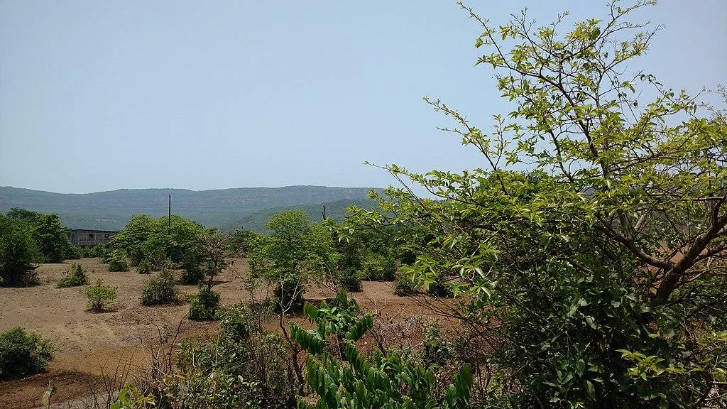 Wildlife Sanctuary in Maharashtra: Exploring the Richness of Nature image