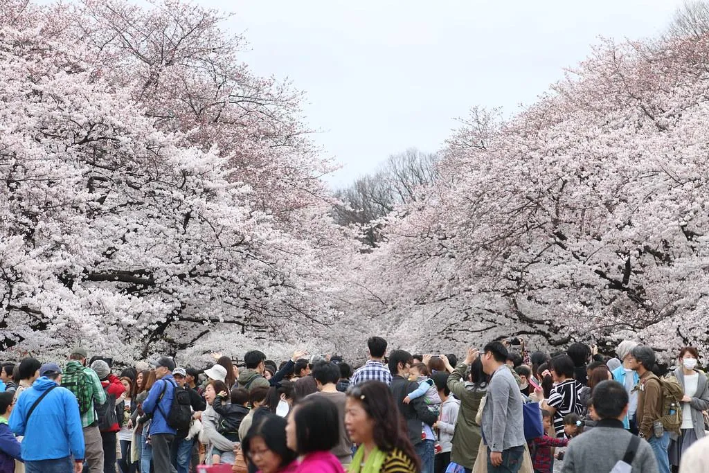 Ueno Park: A Cultural Oasis in the City - image