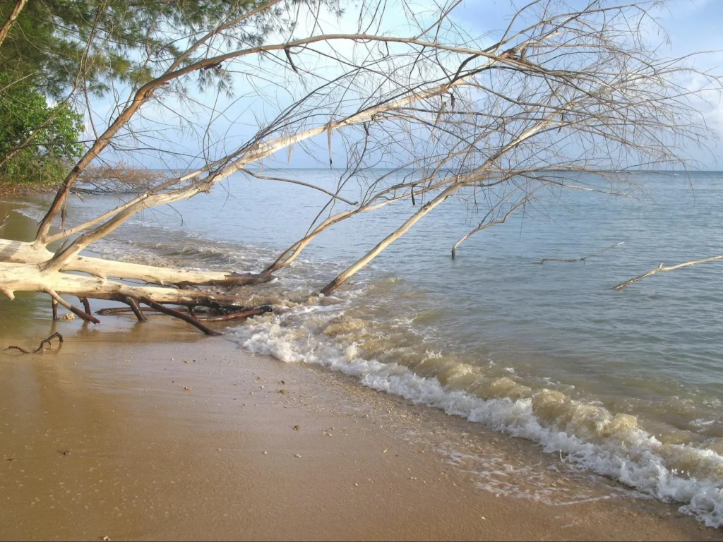 Pulau Tiga (Tiga Island) Pulau Tiga (Tiga Island) - image