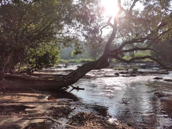 Coorg: Coffee, Nature, and Cool Breeze Coorg - image