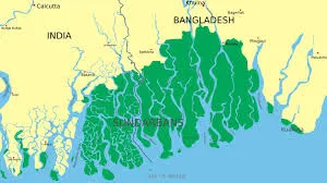 West Bengal Wildlife Sanctuaries: Exploring the Untamed Wilderness image