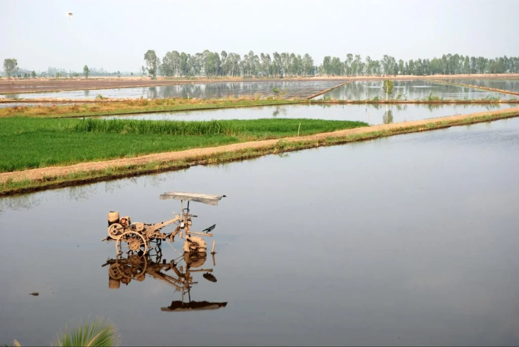 Mekong Delta Day Trip Mekong Delta Day Trip - image