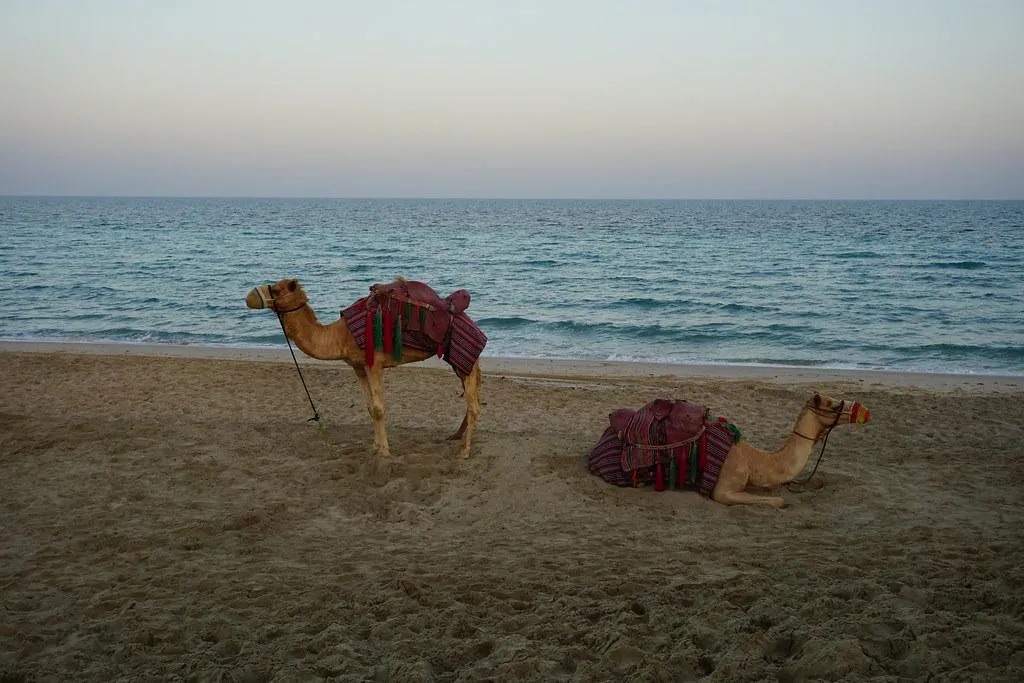 Desert Safari and Inland Sea – Thrill and Tranquility Desert Safari and Inland Sea – Thrill and Tranquility
