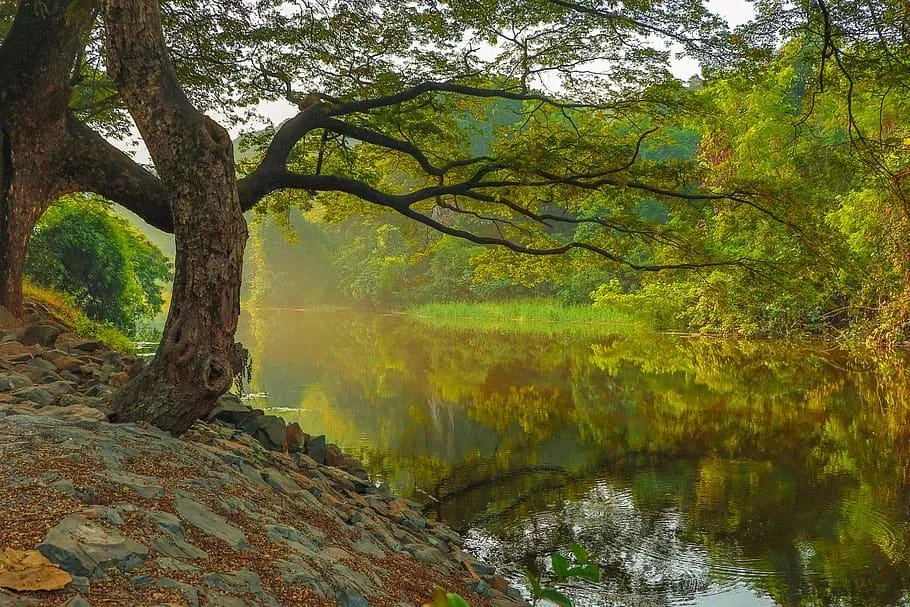 Wildlife Sanctuary in Maharashtra: Exploring the Richness of Nature