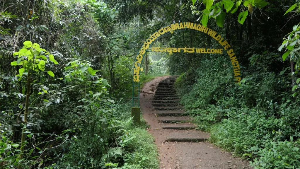 Wildlife Sanctuary in Telangana: A Hidden Treasure for Nature Enthusiasts image