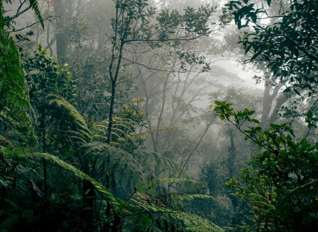 Top Things to Do in Malaysia image