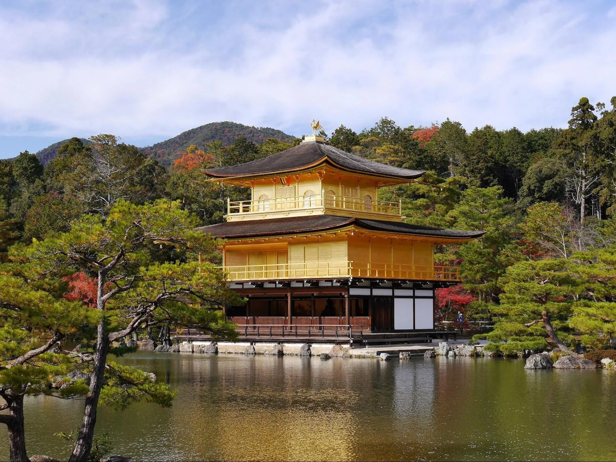 Japan 2 week Itinerary : Affordable Exploration