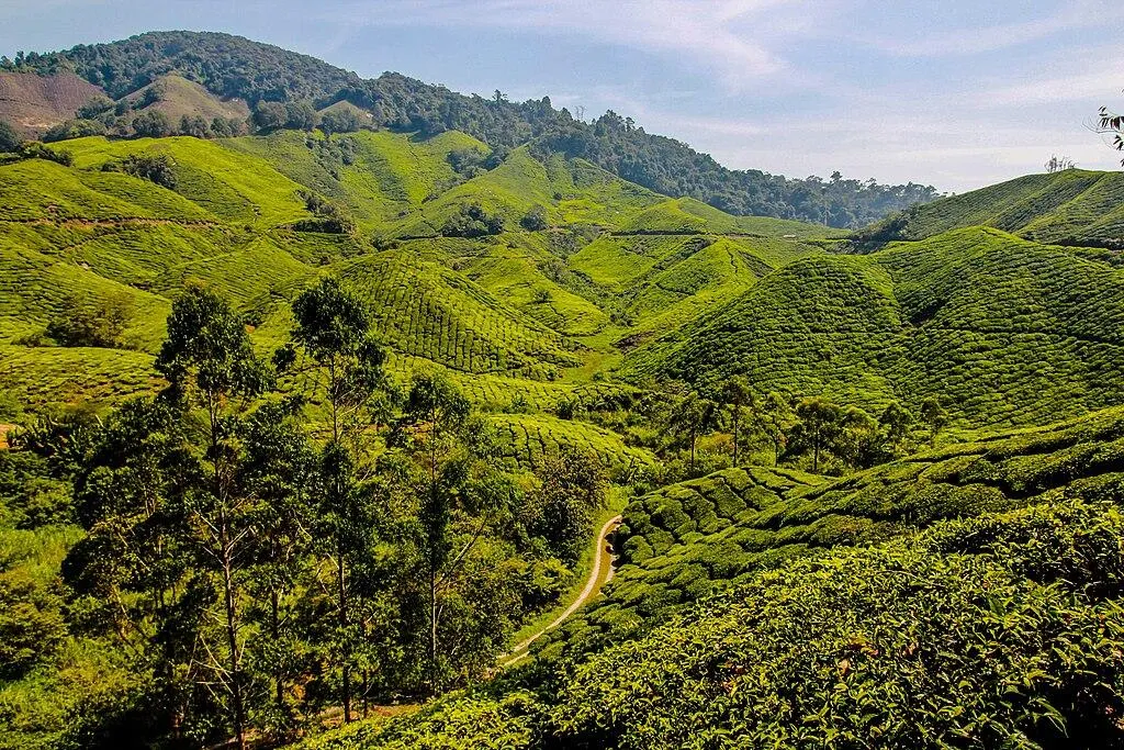Best Places to Visit in Malaysia for Couples: Romantic Escapes for Every Kind of Love image