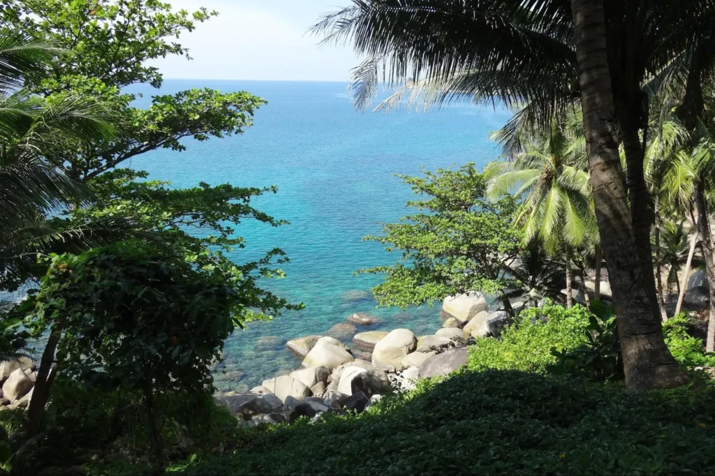 Bamboo Bay: The Hidden Gem Bamboo Bay: The Hidden Gem - image