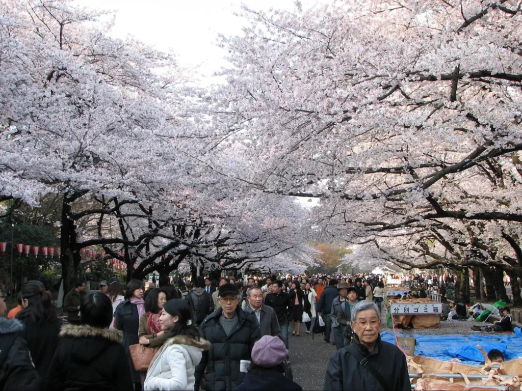 Ueno – Culture, Museums, and Nature Ueno – Culture, Museums, and Nature