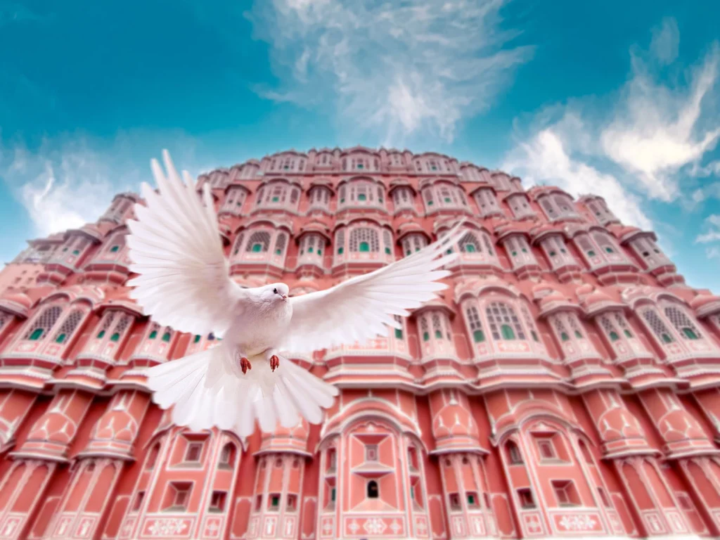 jaipur Hawa mahal picture with piegeon is one of the best summer tourist places in india