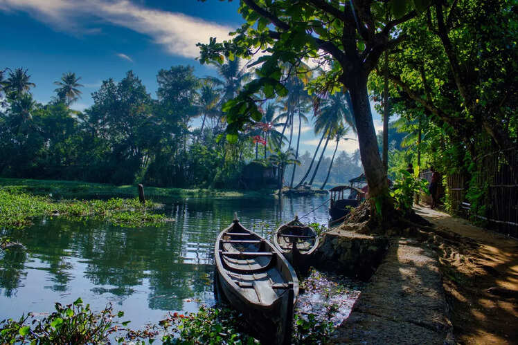 A boat floating peacefully on a lush green lake surrounded by tropical trees — best time to visit in Kerala for nature and backwater escapes.