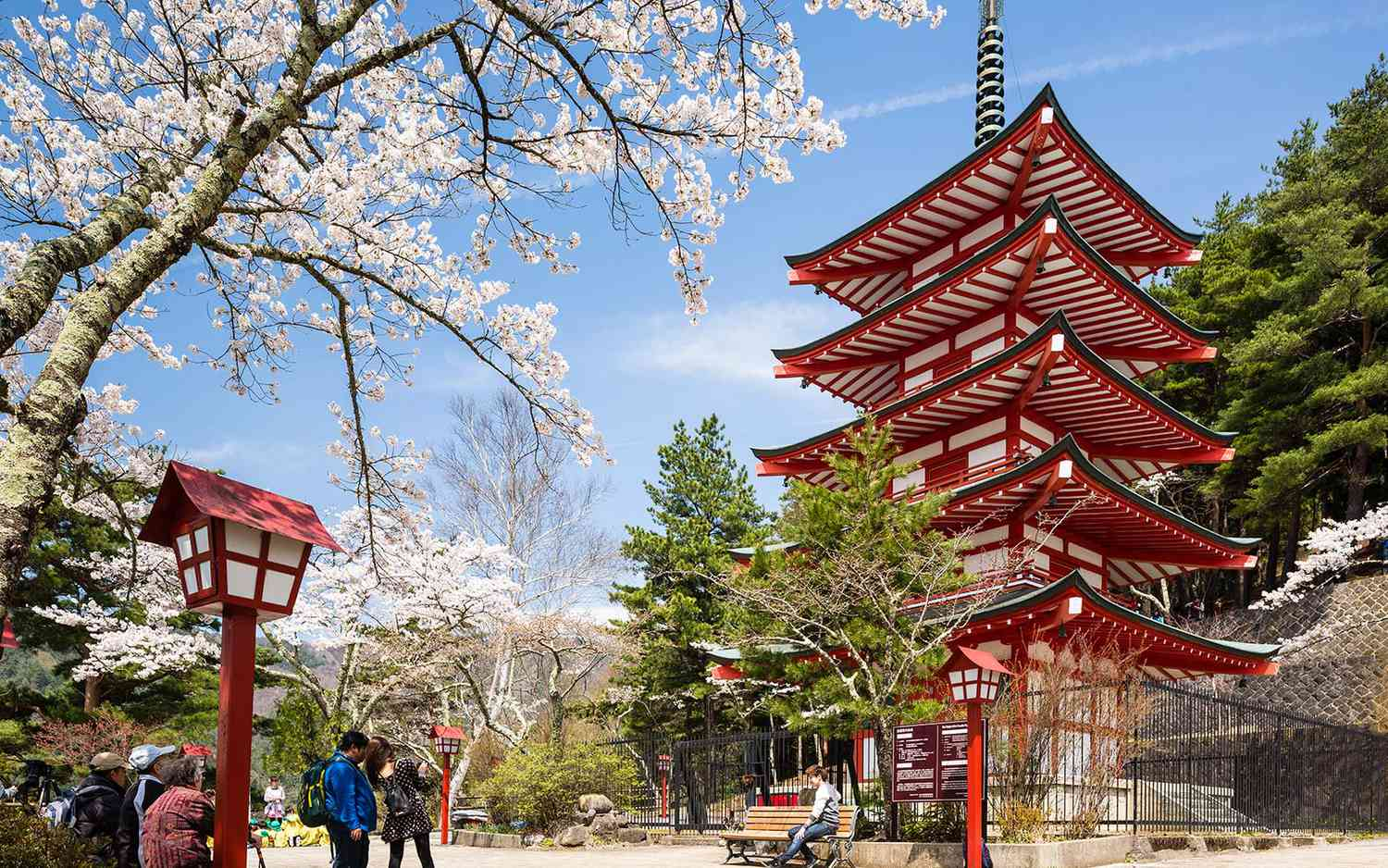 Best Time To Visit Japan : A Guide Inspired by Locals Through the Seasons