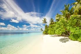 6 Best Beaches in Key Largo in 2025