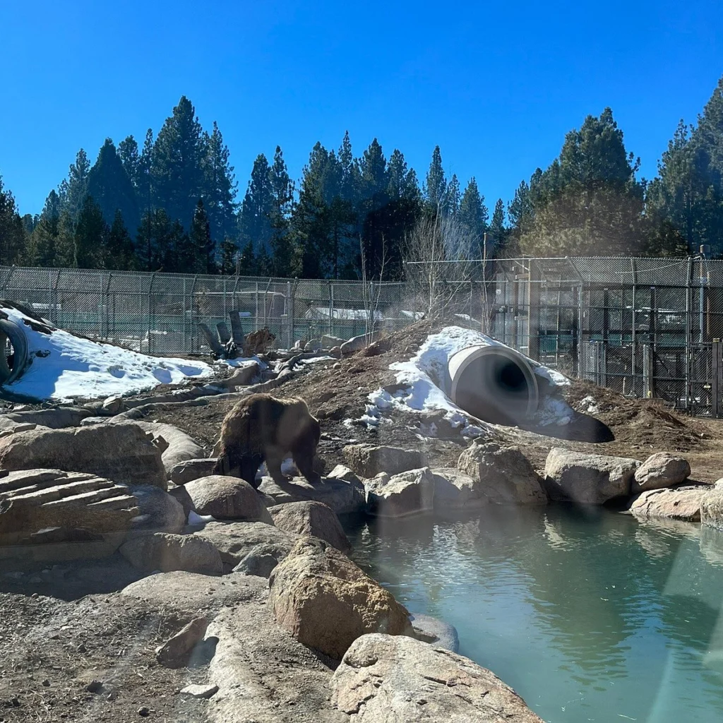 Best Things to Do in California