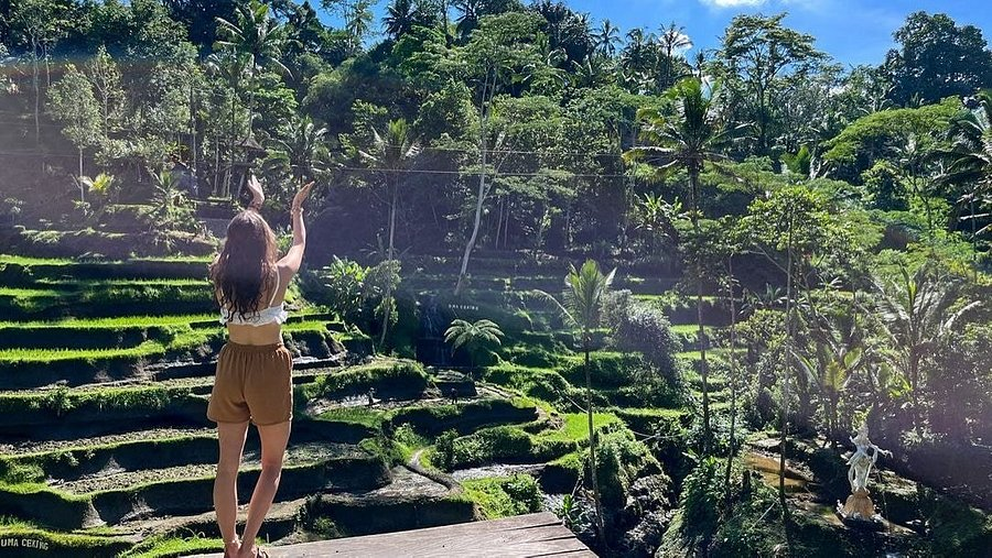 Ceking Rice Terrace Reviews