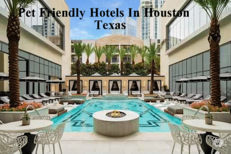 Pet Friendly Hotels in Houston Texas