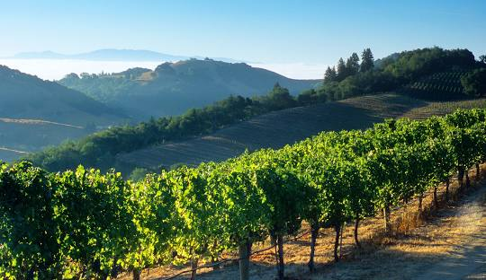 Best Things to Do in California