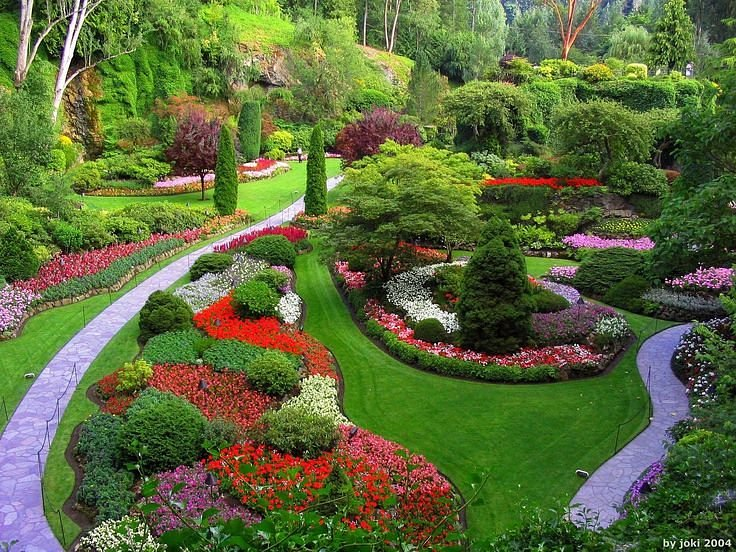 ooty botanical garden showing lot of trees and bushes with flowers