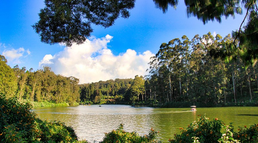 Ooty Lake surrounded by misty hills and lush greenery – one of the most romantic Ooty tourist places to visit for honeymoon couples.