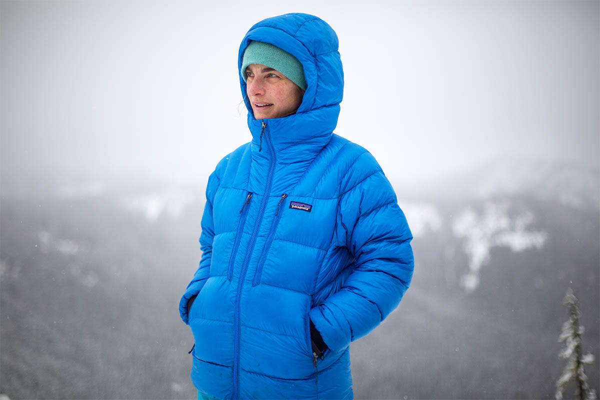 Patagonia Fitz Roy Down Hoody
