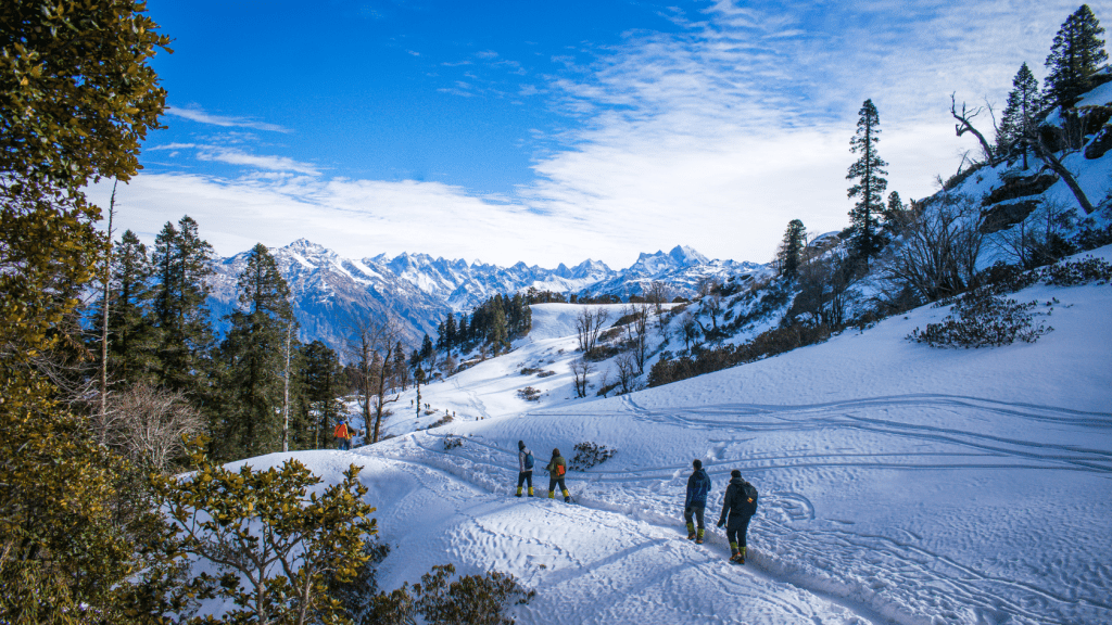 Best Things to Do in California