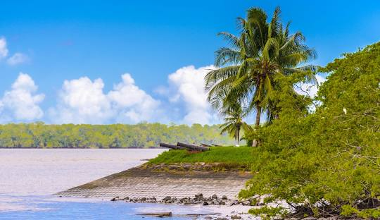 Peaceful beach in Suriname — one of the best cheapest places to travel in South America for tropical relaxation.