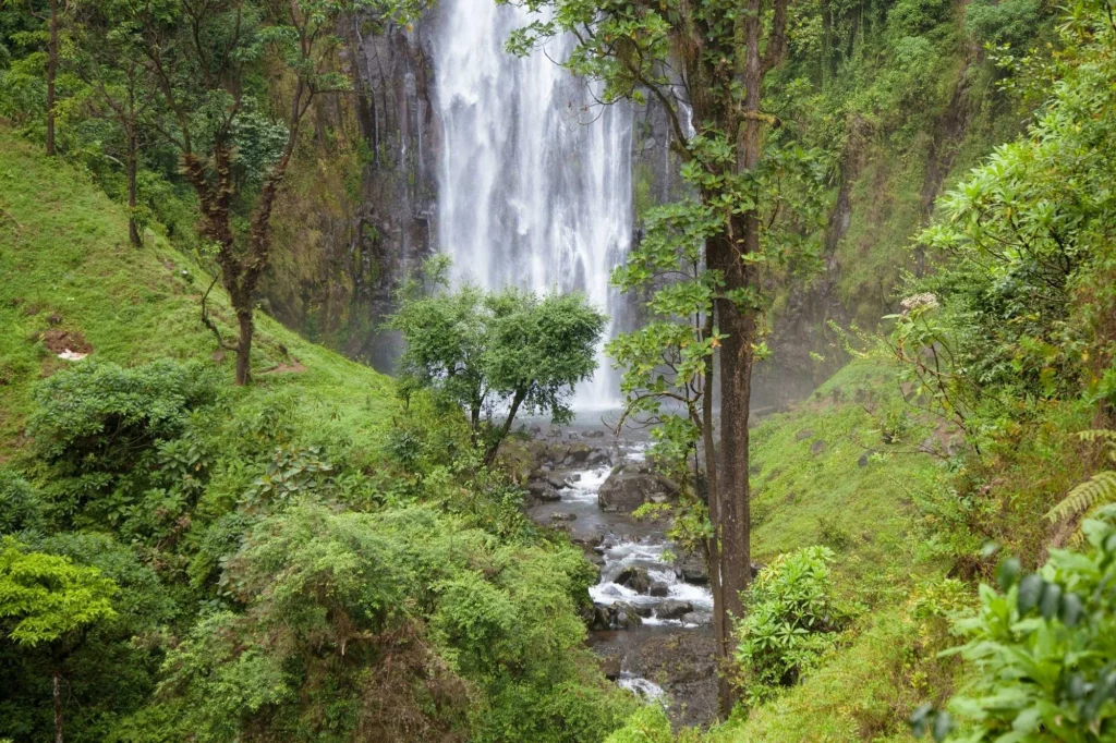 Lushoto Tanzania Guide