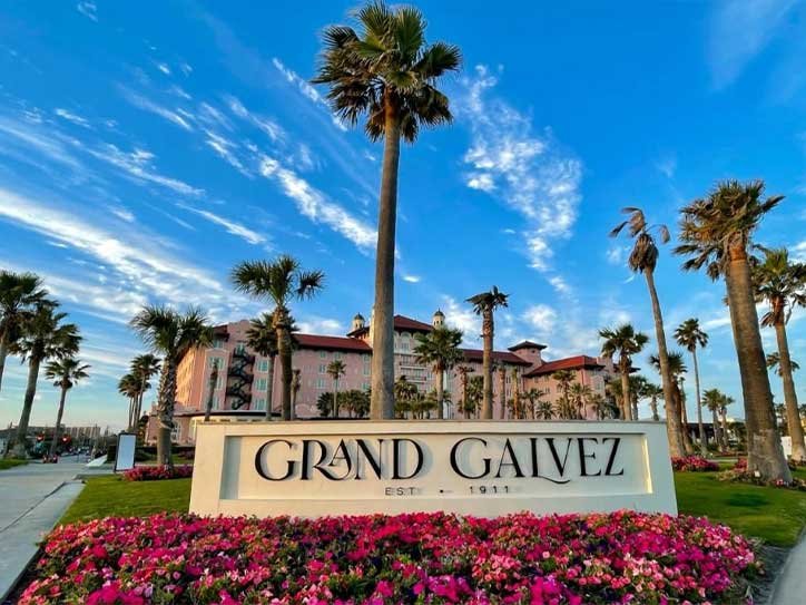 Pet Friendly Hotels In Galveston Texas On The Beach