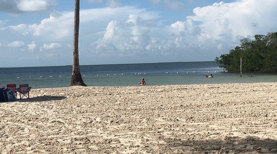 Founder beach 6 best beaches in key largo