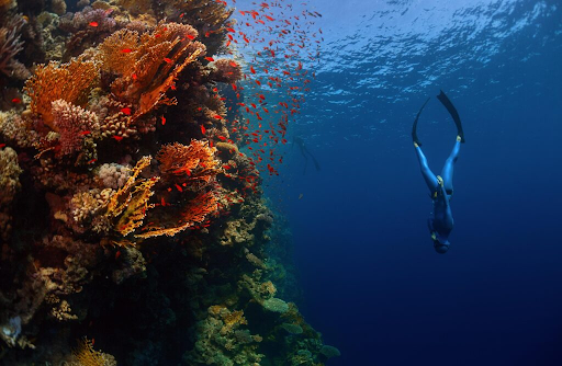 Freedive on Gili Air: Complete Guide