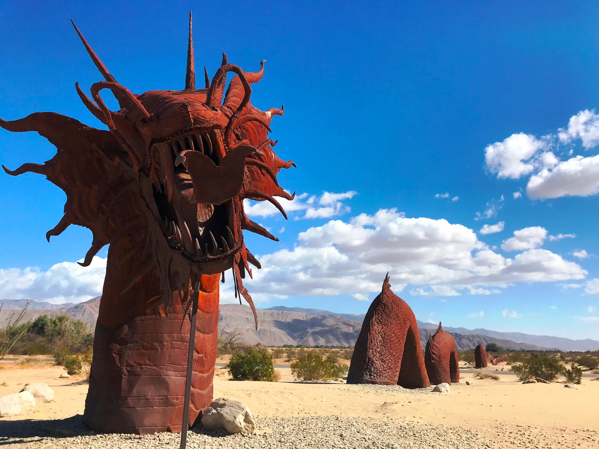 10 Best Things to Do in Anza Borrego Desert State Park
